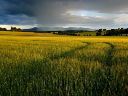 Family Weekends in the Heart of Aberdeenshire