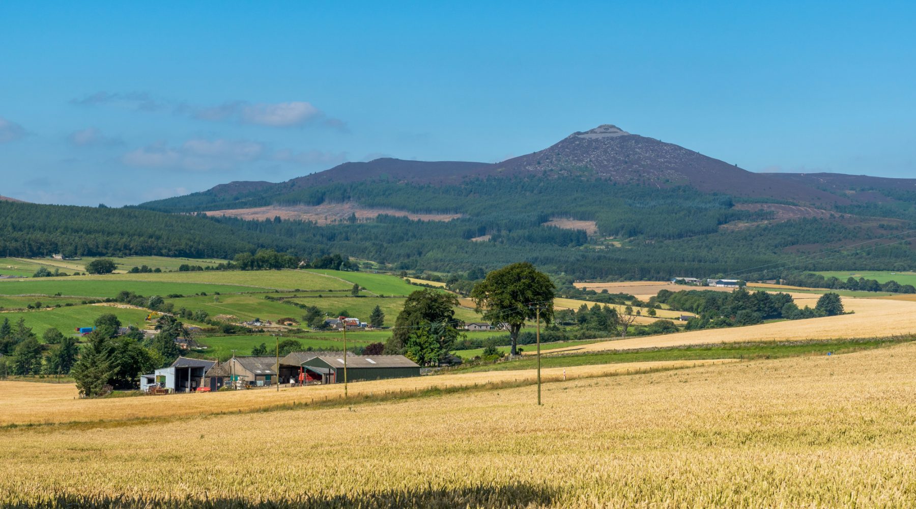 Shutterstock 1148716724