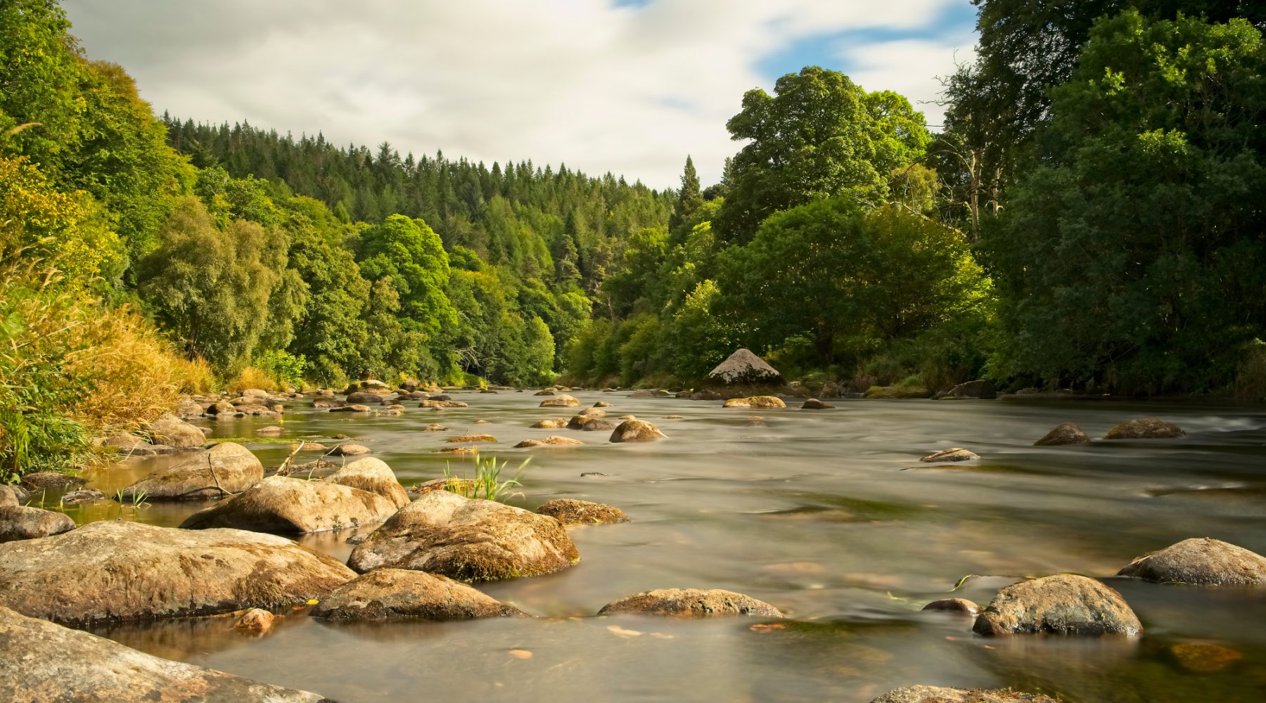 Shutterstock 1444052003