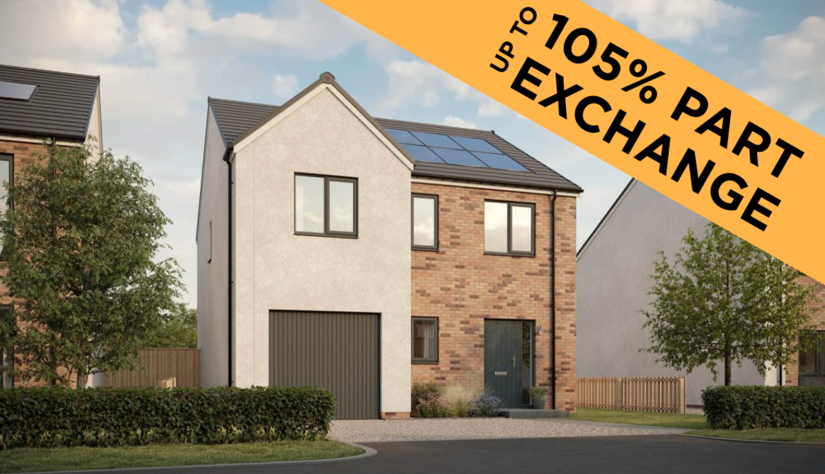 Plot 33 - McAdam