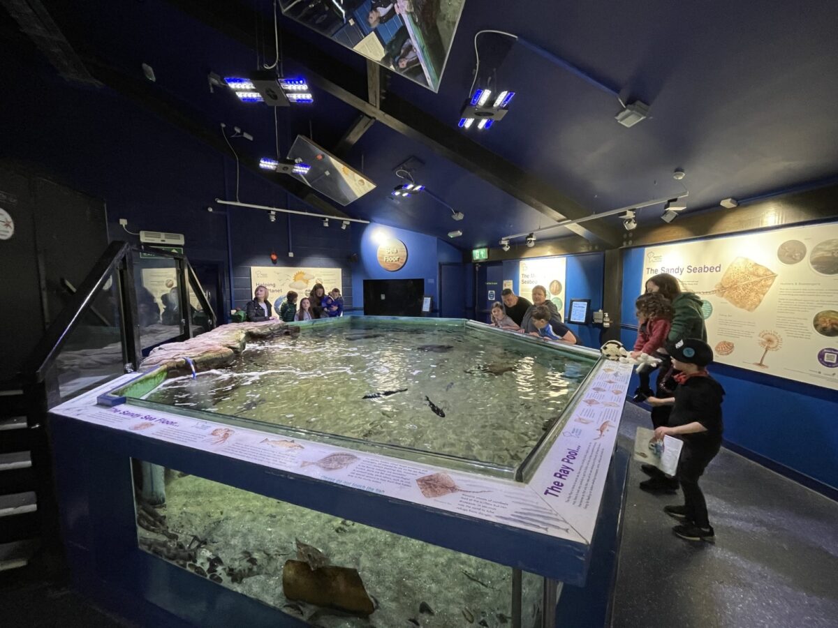 Macduff Marine Aquarium