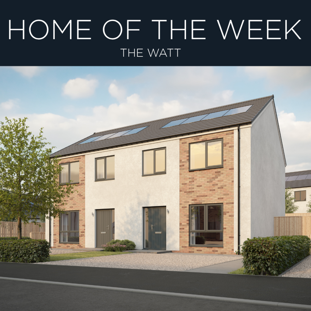 Plot 55- The Watt