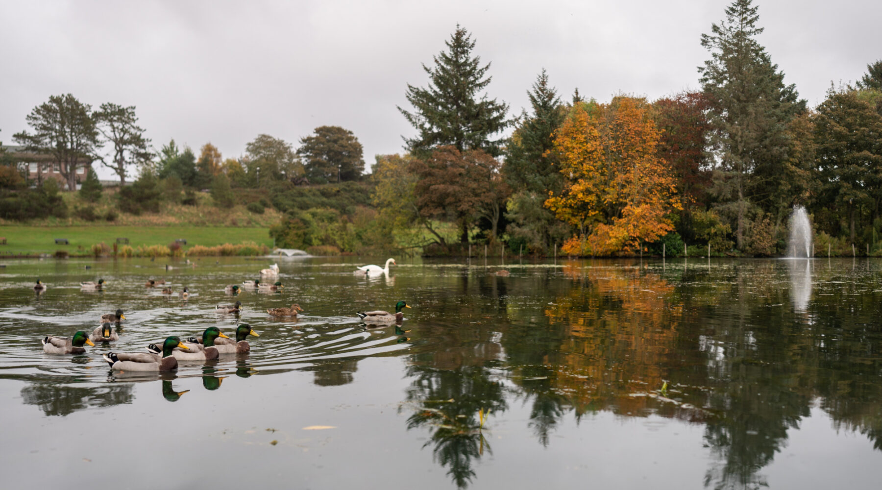 Arbroathphotoshoot 78