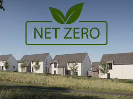 NetZero Week: Our Commitment to Sustainability
