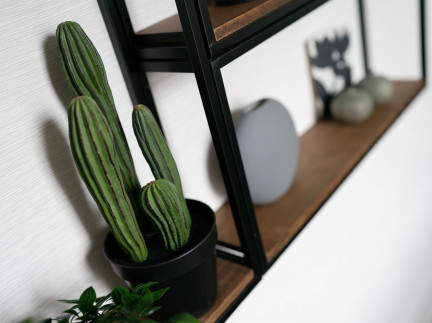 'Meet the Experts' Afternoons in Autumn