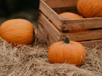 October Activities in Perthshire