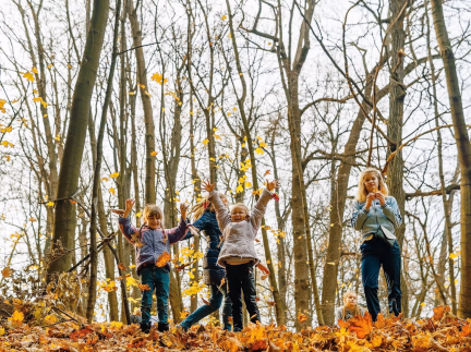 Fun October Holiday Activities in Angus!