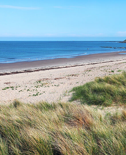 Arbroath 0000 shutterstock 2399412083