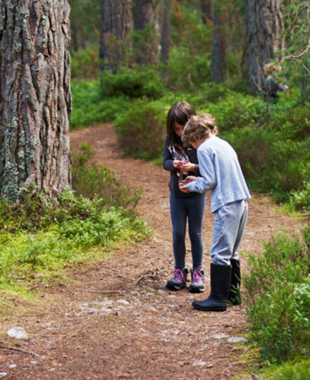 Aviemore 0003 Cairngorms National Park 09 08 21 017