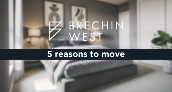 Why buy newnow email campaign